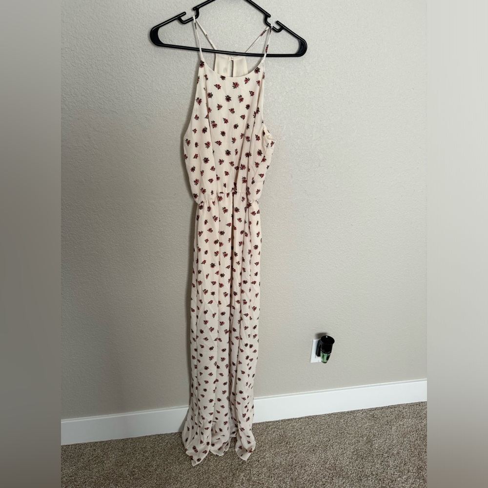 Francesca’s Everly floral maxi dress (medium - NWT)